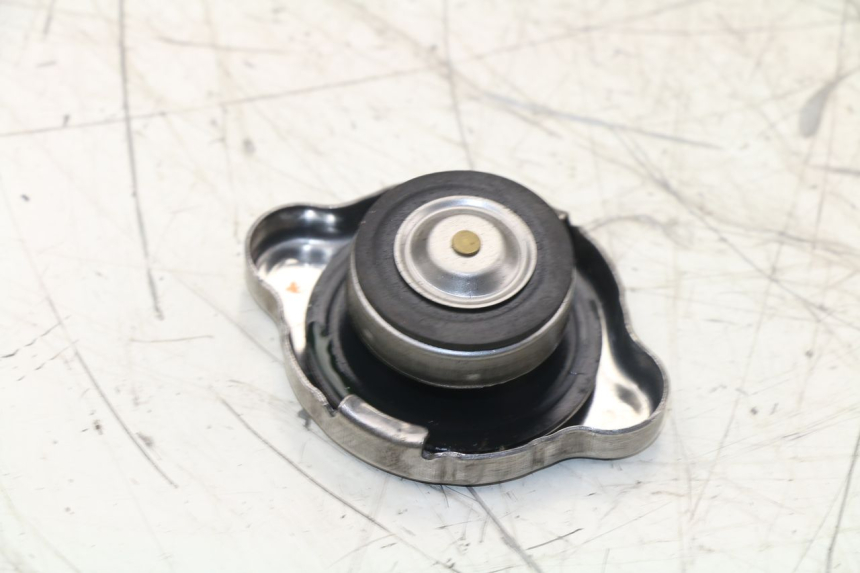 photo de TAPPO DEL RADIATORE KYMCO K-XCT 125 (2013 - 2017)