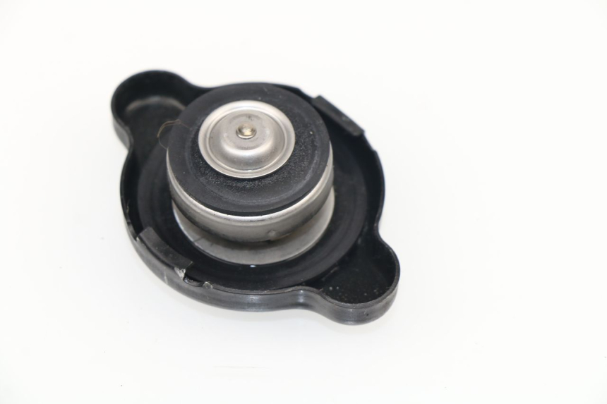 photo de TAPPO DEL RADIATORE KAWASAKI NINJA 300 (2012 - 2017)