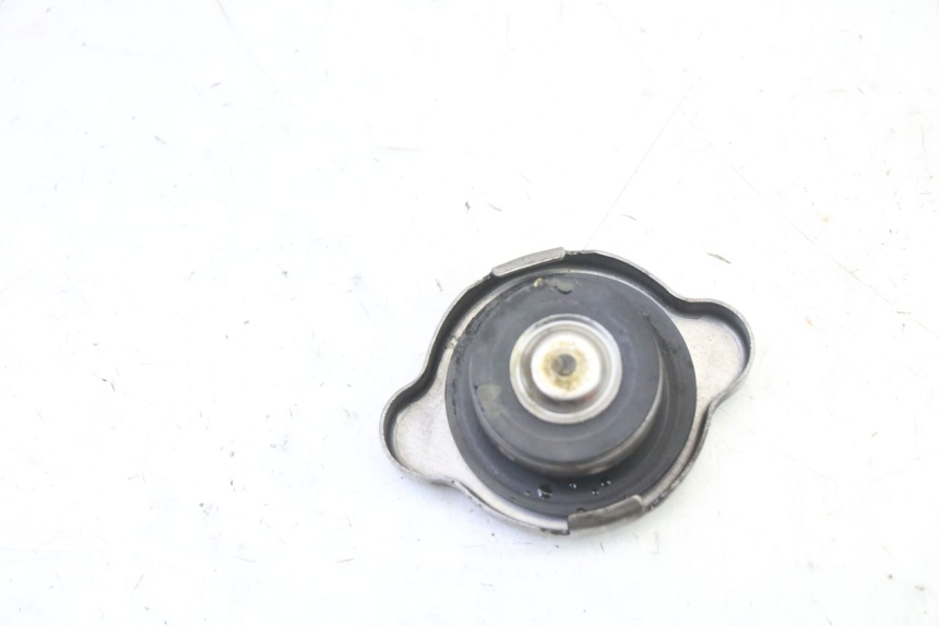photo de RADIATORE HONDA NTV DEAUVILLE ABS 700 (2007 - 2016)