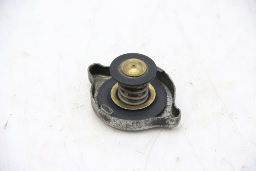 photo de TAPPO DEL RADIATORE PEUGEOT XP6 50 (2006 - 2011)