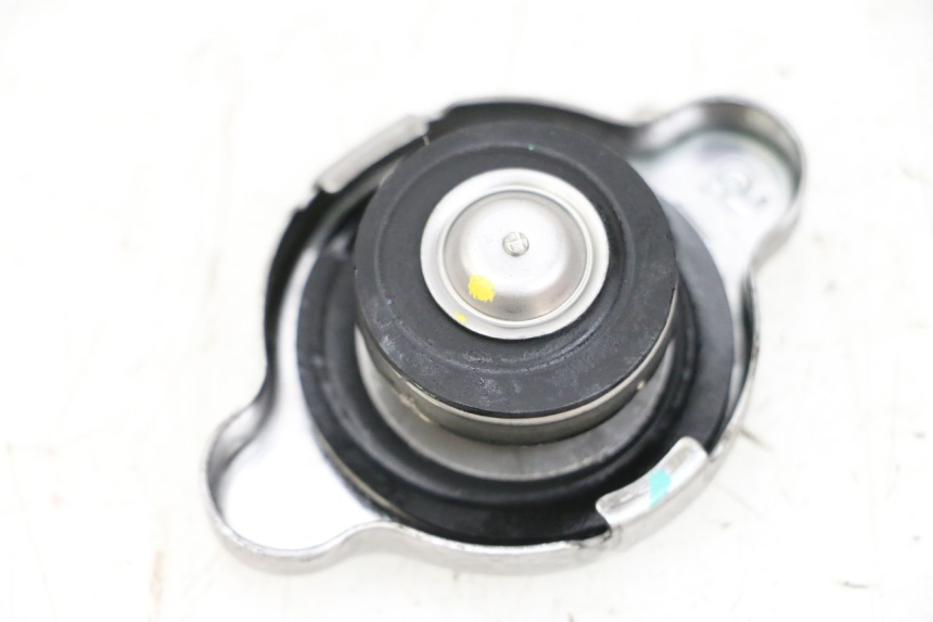 photo de RADIATORE BMW R GS 1250 (2021 - 2024) - Vista principale