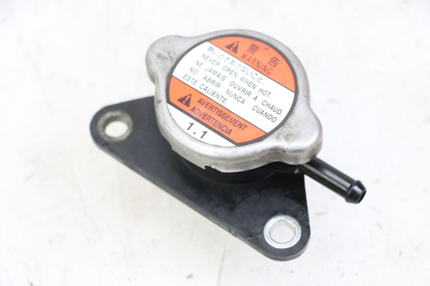photo de RADIATORE SUZUKI BURGMAN 125 (2015 - 2017)