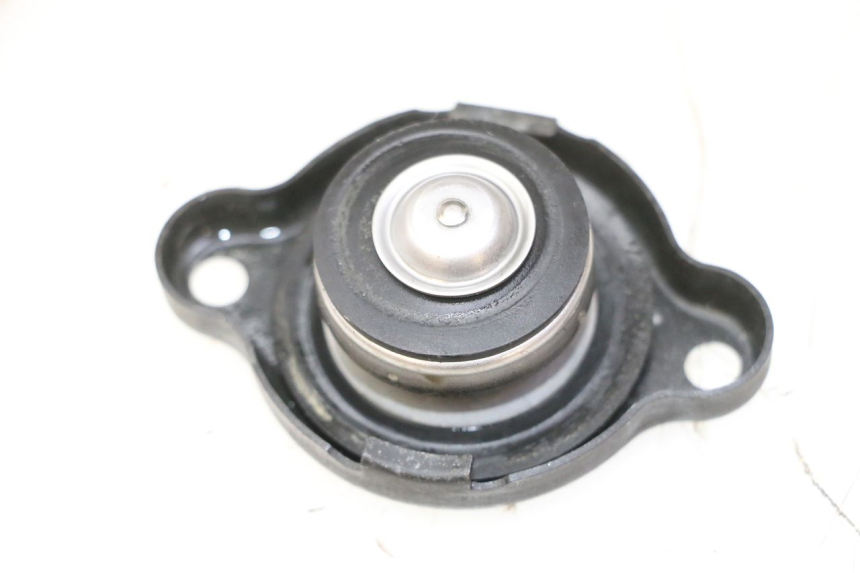 photo de TAPPO DEL RADIATORE YAMAHA TDM ABS 900 (2002 - 2014)