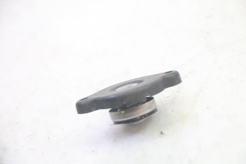 photo de RADIATORE YAMAHA TDM ABS 900 (2002 - 2014) - Dettaglio del componente