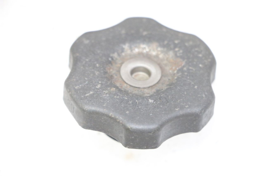 photo de RADIATORE YAMAHA TDR DELTABOX 125 (1993 - 2003)