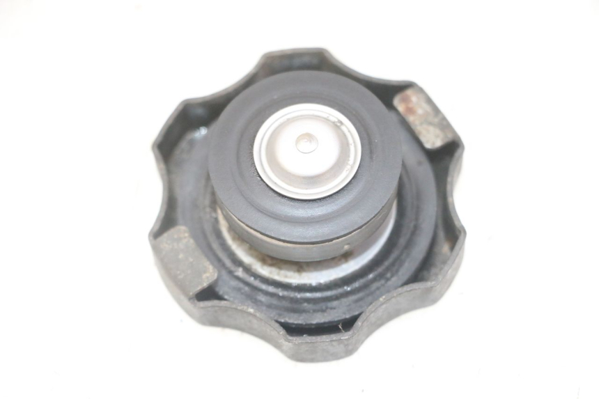 photo de RADIATORE YAMAHA TDR DELTABOX 125 (1993 - 2003)