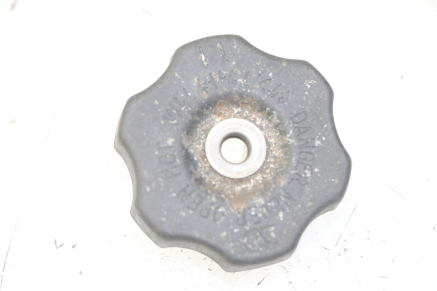 photo de RADIATORE YAMAHA TDR DELTABOX 125 (1993 - 2003)