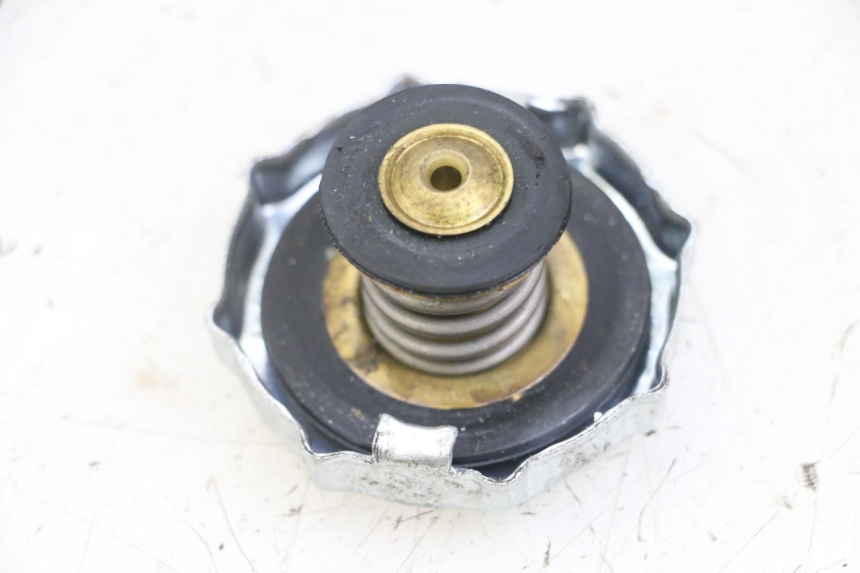 photo de RADIATORE VENT DERAPAGE 50 (2018 - 2023)