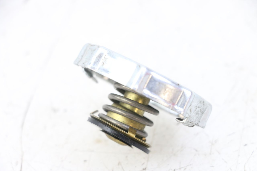 photo de RADIATORE VENT DERAPAGE 50 (2018 - 2023)
