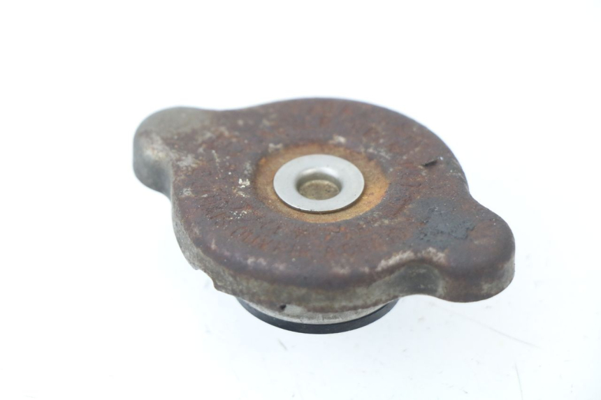 photo de TAPPO DEL RADIATORE YAMAHA WR-F WRF 250 (2007 - 2011)