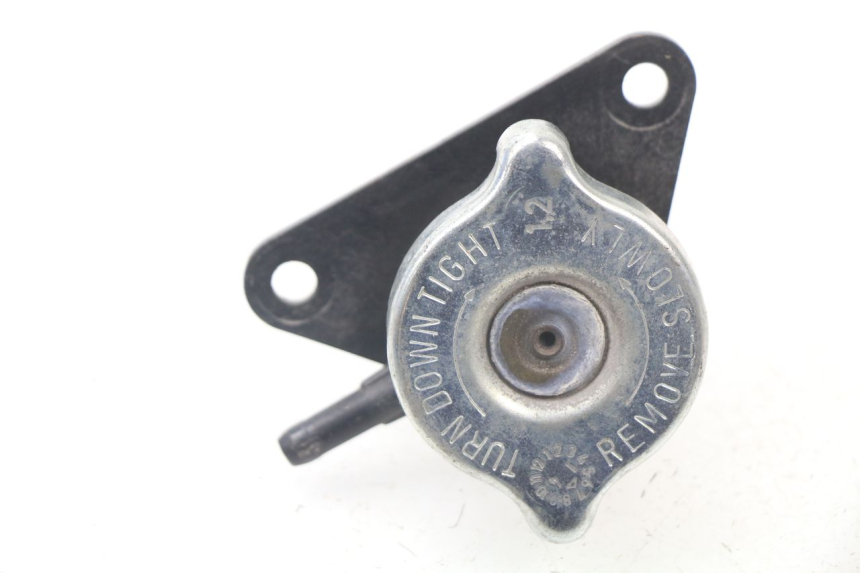 photo de RADIATORE YAMAHA XMAX X-MAX ABS 125 (2014 - 2016) - Vista principale