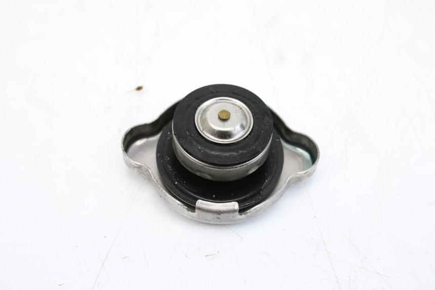 photo de TAPPO DEL RADIATORE YAMAHA XP T-MAX TMAX ABS 530 (2012 - 2015)