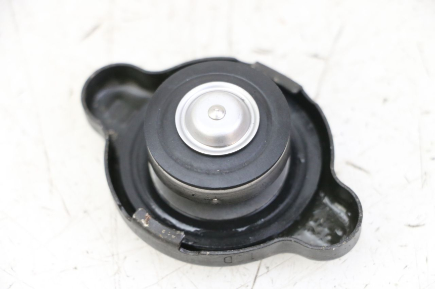 photo de RADIATORE YAMAHA FZS FAZER 600 (2001 - 2003)