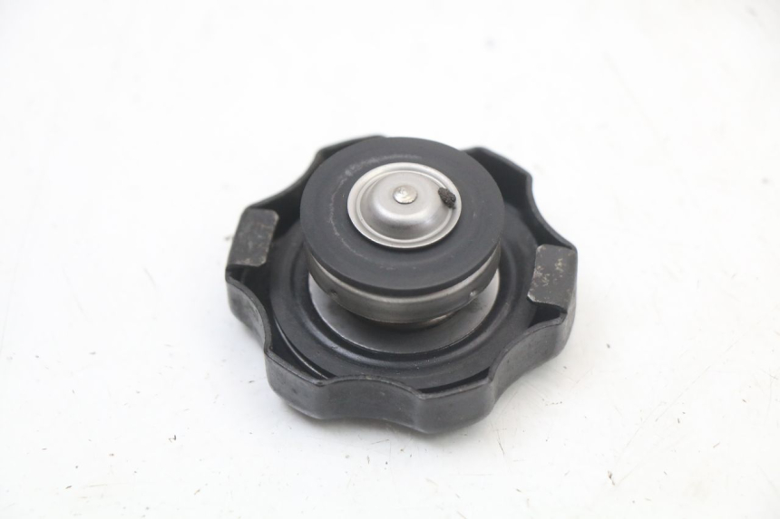 photo de RADIATORE YAMAHA TDR DELTABOX 125 (1993 - 2003)