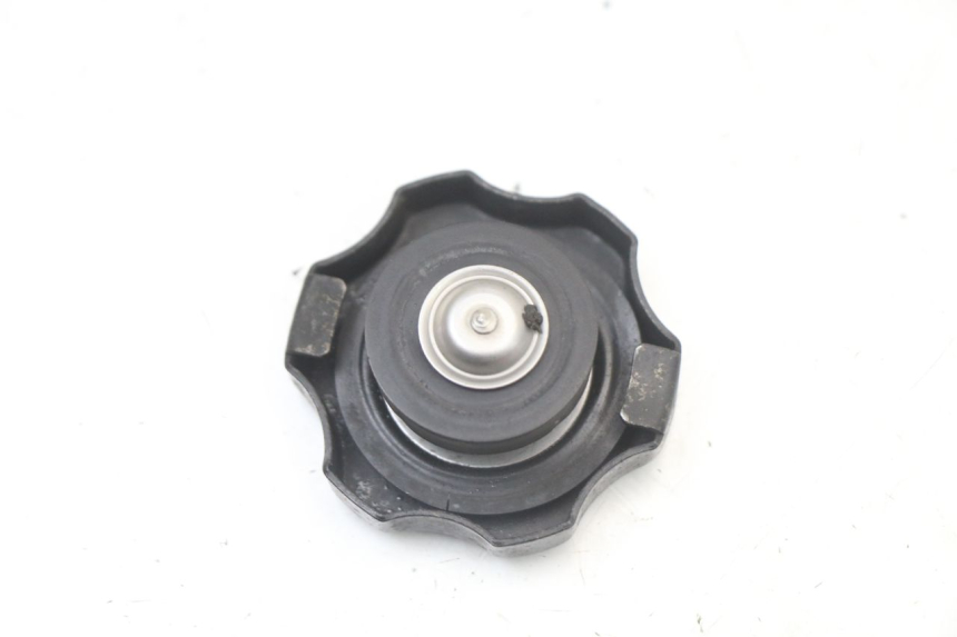 photo de RADIATORE YAMAHA TDR DELTABOX 125 (1993 - 2003)