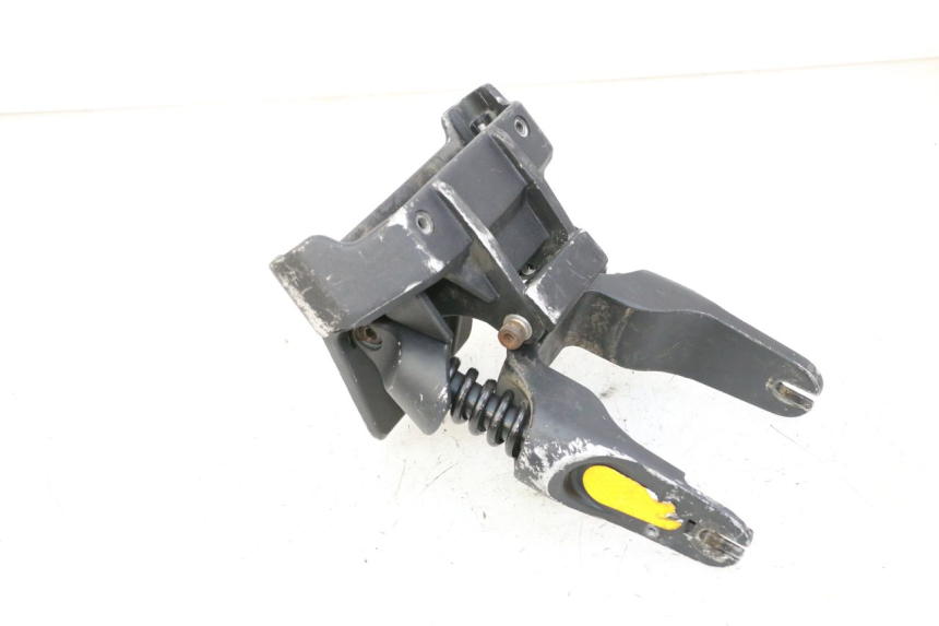 photo de FORCELLONE DUALTRON AMINIA 1