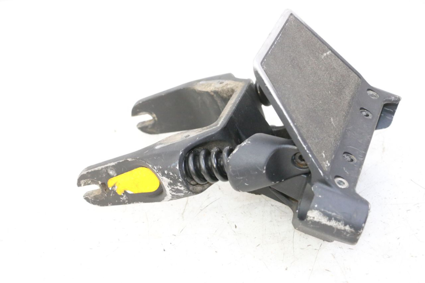photo de FORCELLONE DUALTRON AMINIA 1