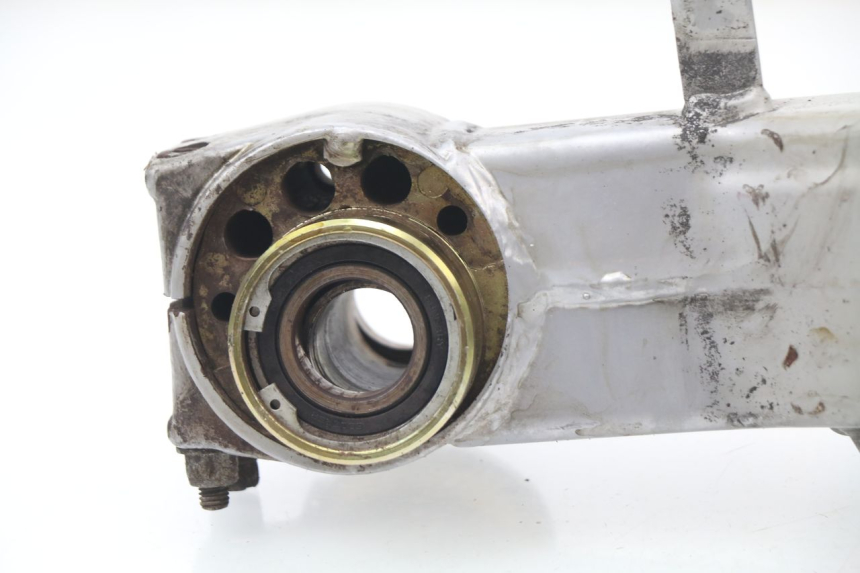 photo de Braccio oscillante APRILIA RS AF-1 125 (1990 - 1993)