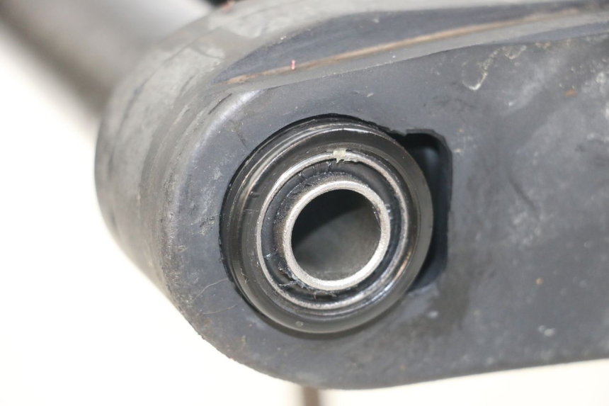 photo de FORCELLONE ARCHIVE CAFE RACER 4T 50 (2019 - 2024)