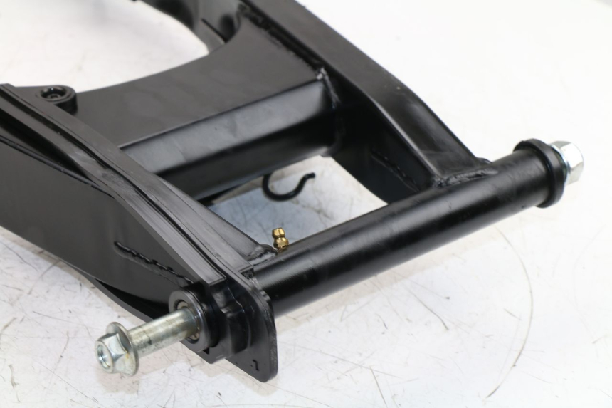 photo de BRACCIO OSCILLANTE DAELIM VJ ROADWIN FI 125 (2008 - 2017)