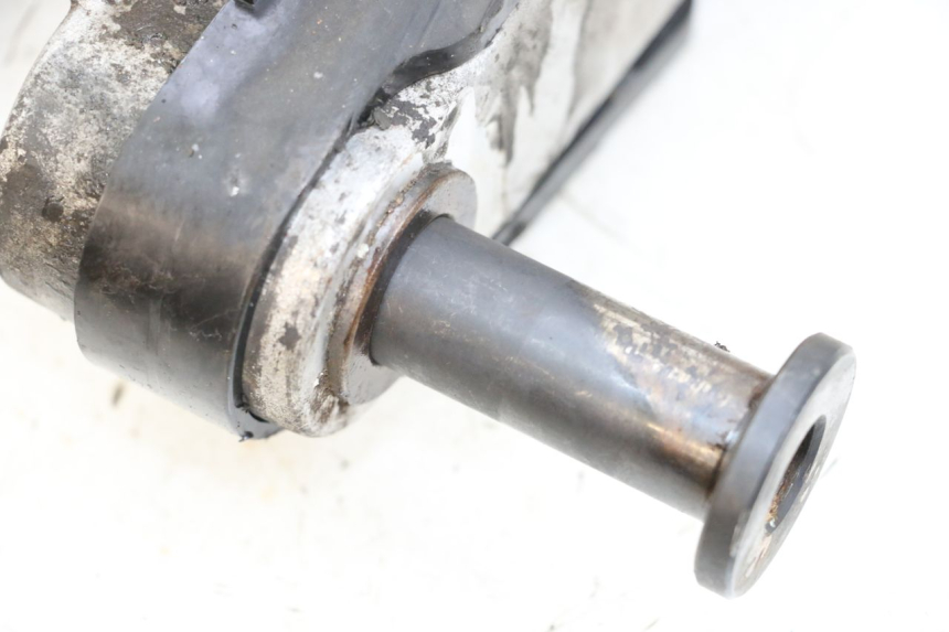 photo de FORCELLONE APRILIA RS 50 (2006 - 2010)