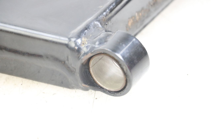 photo de FORCELLONE HARLEY DAVIDSON SPORTSTER XL CUSTOM 1200 (2003 - 2004)