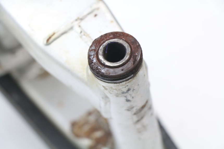 photo de Braccio oscillante YAMAHA TTR 125 (2000 - 2020)