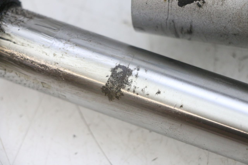 photo de FORCELLONE KAWASAKI ZR 7 750 (1999 - 2001) - Primo piano tecnico