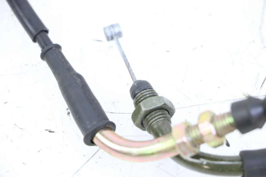 photo de CAVO ACCELERATORE TNT MOTOR BOSTON 4T 50 (2018 - 2025)