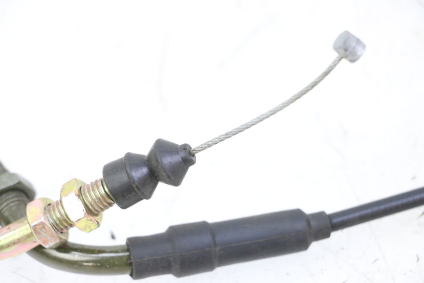 photo de CAVO ACCELERATORE TNT MOTOR BOSTON 4T 50 (2018 - 2025)