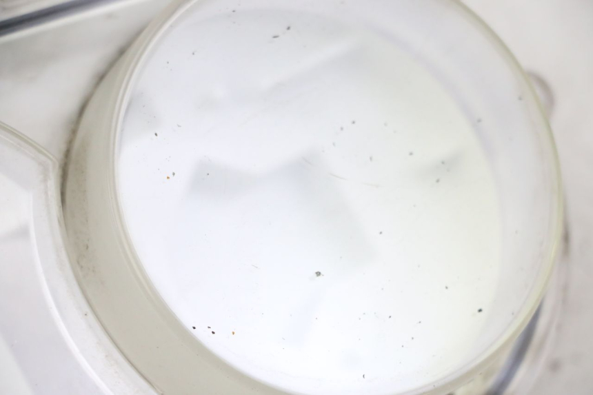 photo de CONTACHILOMETRI GEMMA PEUGEOT SATELIS 250 (2006 - 2012)