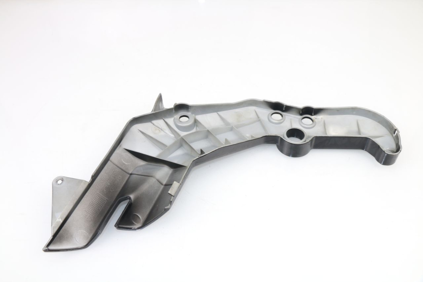 photo de COPERCHIO TELAIO LATERALE DESTRO RIEJU RS3 50 (2010 - 2018)