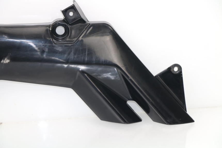 photo de COPERCHIO TELAIO LATERALE DESTRO RIEJU RS3 50 (2010 - 2018)