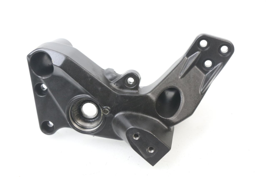 photo de COPERCHIO TELAIO LATERALE SINISTRO BMW C SPORT 650 (2015 - 2021)