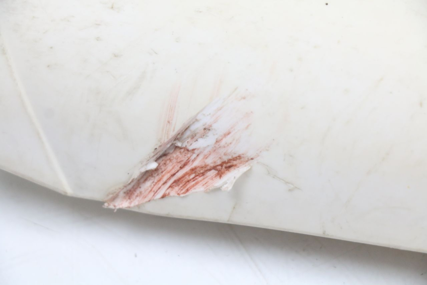 photo de CARENA FORCELLA  KTM SX 85 (2013 - 2017)