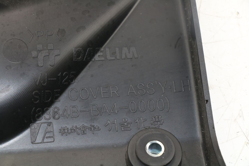 photo de CACHE SOTTO SELLA SINISTRO DAELIM VJ ROADWIN FI 125 (2008 - 2017)