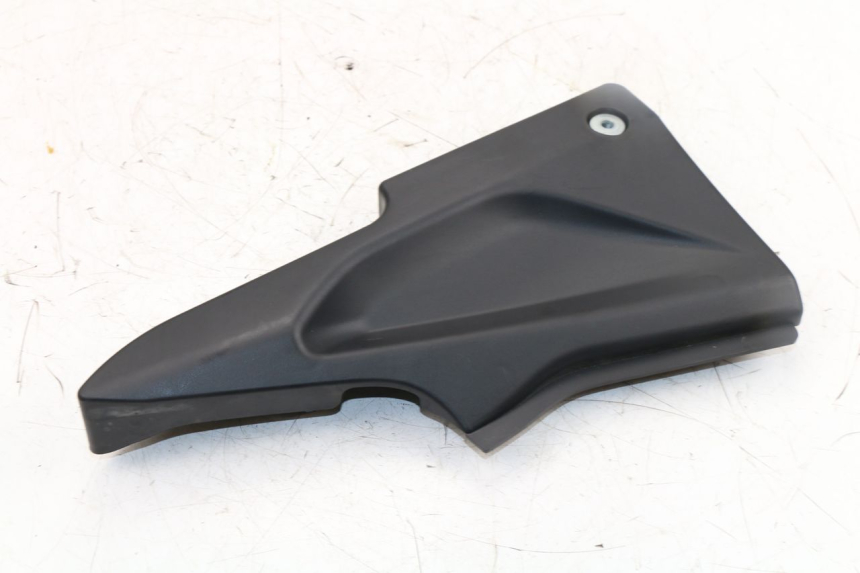 photo de CACHE SOTTO SELLA SINISTRO DAELIM VJ ROADWIN FI 125 (2008 - 2017)