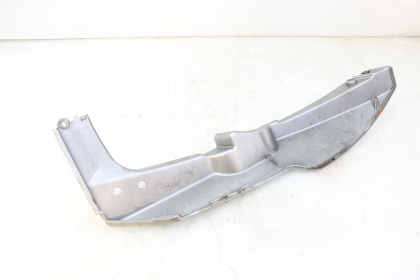 photo de CARENA SOTTO SELLA SINISTRA DAELIM HISTORY 125 (2001 - 2002)