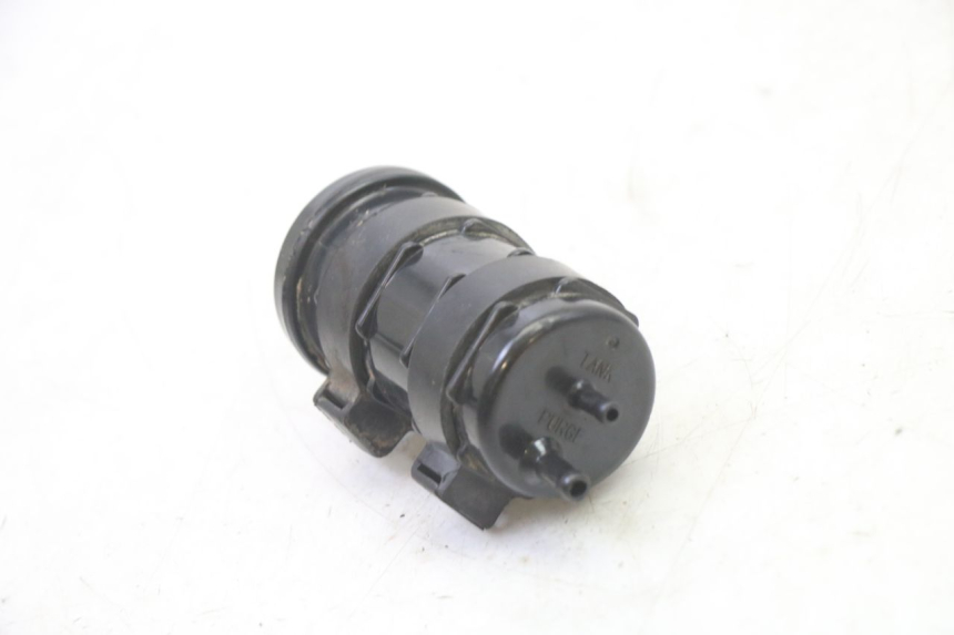 photo de CANISTRO MOTRON BREEZY 4T 50 (2021 - 2025)