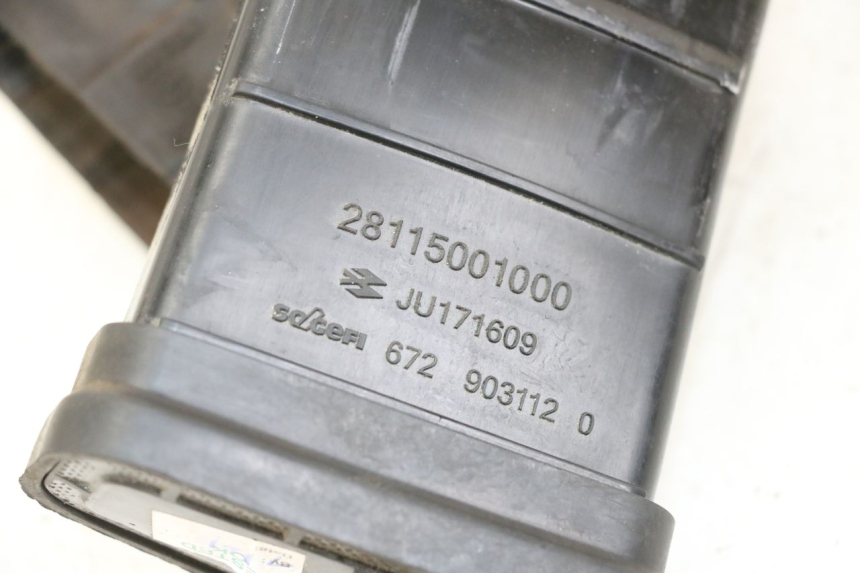 photo de CANISTRO HUSQVARNA SVARTPILEN 401 (2018 - 2023)