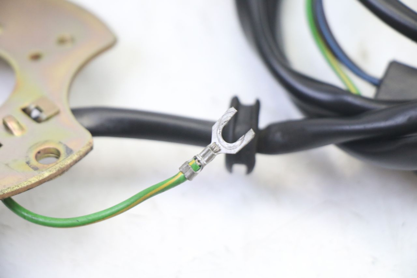 photo de ACCENSIONE CAPTATORI SUZUKI GS GSE 500 (2001 - 2003)
