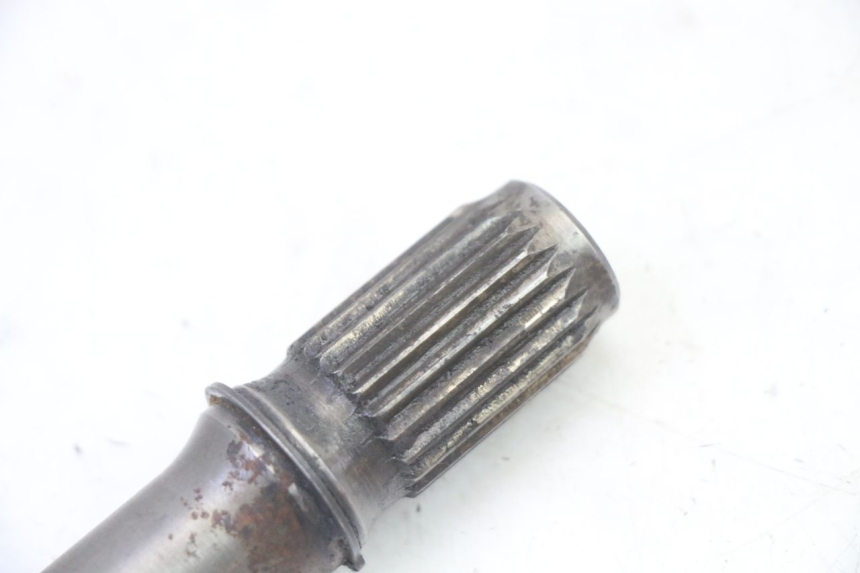 photo de CARDANICO YAMAHA YFM BRUIN 350 (2003 - 2009)