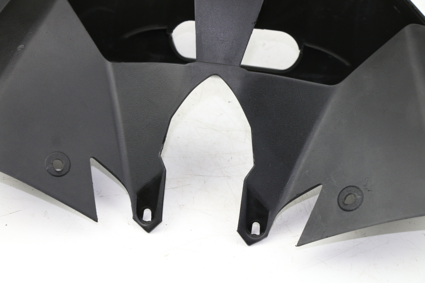 photo de Carena posteriore BMW C GT 650 (2012 - 2015)