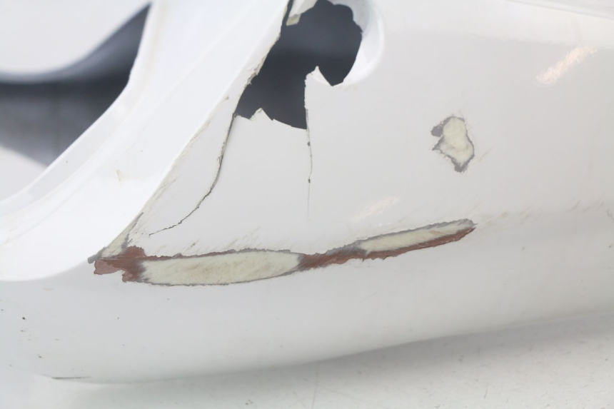 photo de Carena posteriore HONDA CBR 929 RR FIREBLADE 900 (2000 - 2001)