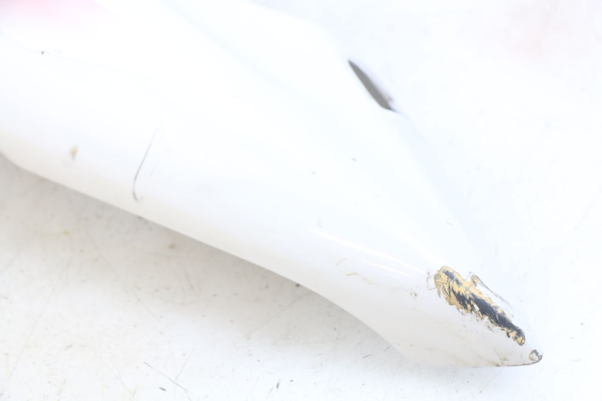 photo de CARENAGE POSTERIORE YAMAHA YZF R THUNDERCAT 600 (1996 - 2003)