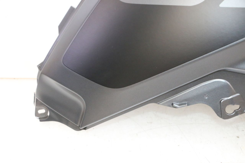 photo de SERBATOIO COPERCHIO DESTRO BMW R GS 1250 (2021 - 2024) - Panoramica del profilo