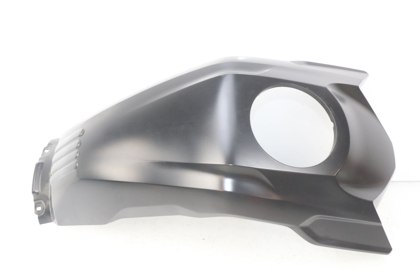 photo de Carena serbatoio BMW F GS K81 850 (2018 - 2023)