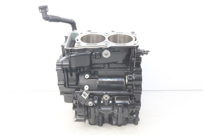 photo de CARTER MOTORE INFERIORE BMW F GS K81 850 (2018 - 2023)