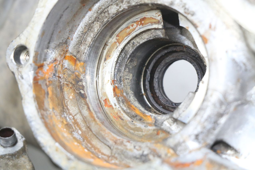 photo de CARTER MOTORE DAELIM S FIVE 2T 50 (2005 - 2009)