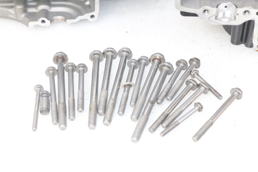 photo de CARTER MOTORE INFERIORE BMW F GS K81 850 (2018 - 2023)